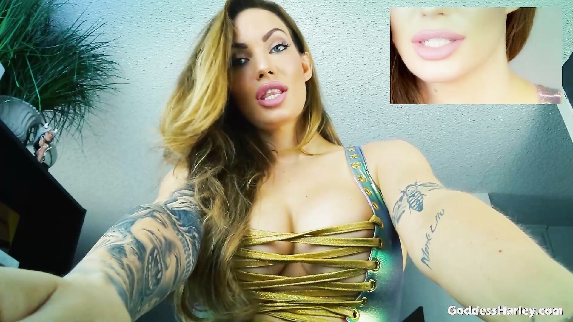 Amazon Goddess Harley - The Magic Words For Cum Eating - ManyVids - milf - femdom - big tits - dirty talk - fetish - fake tits - pov - solo - high heels