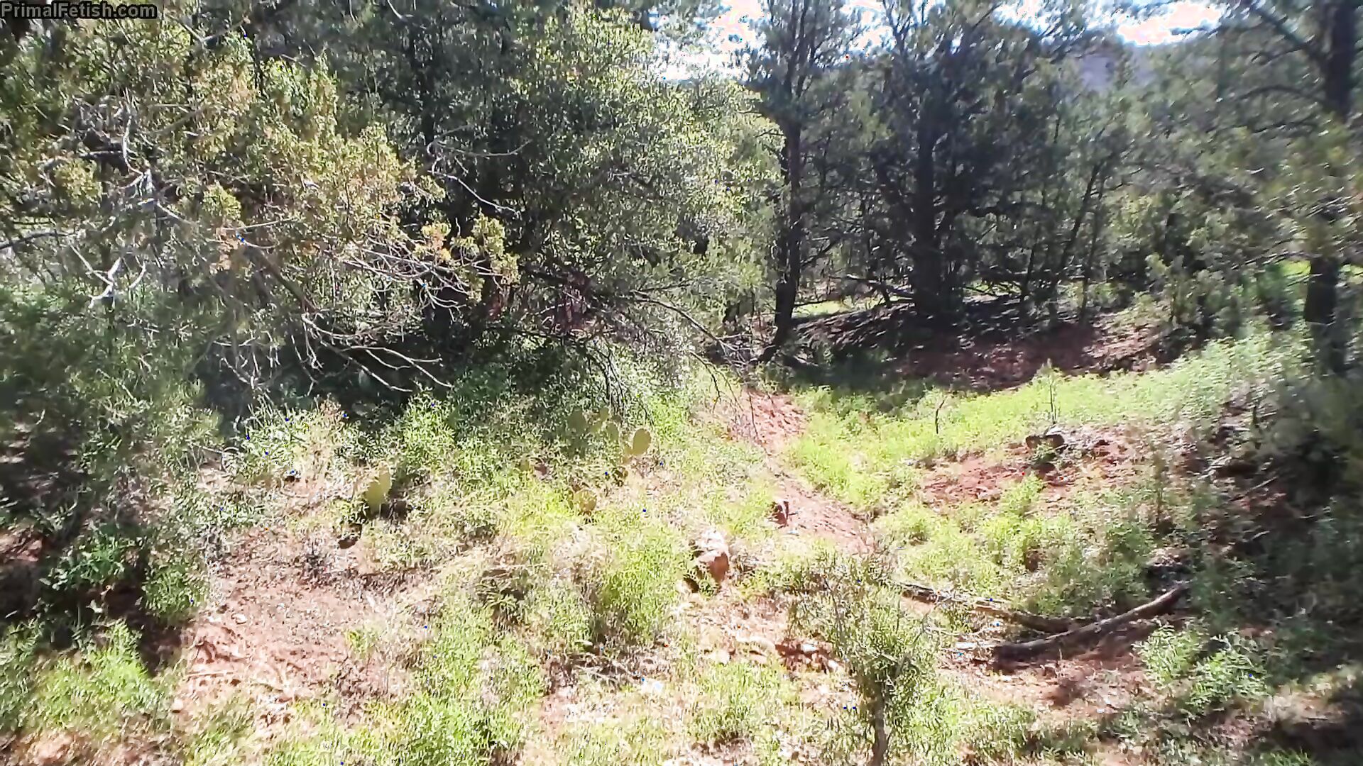 Alex Coal - Lost Without Master - Part 12 - POV BGG - ManyVids - pov - teen - natural tits - brunette - blowjob