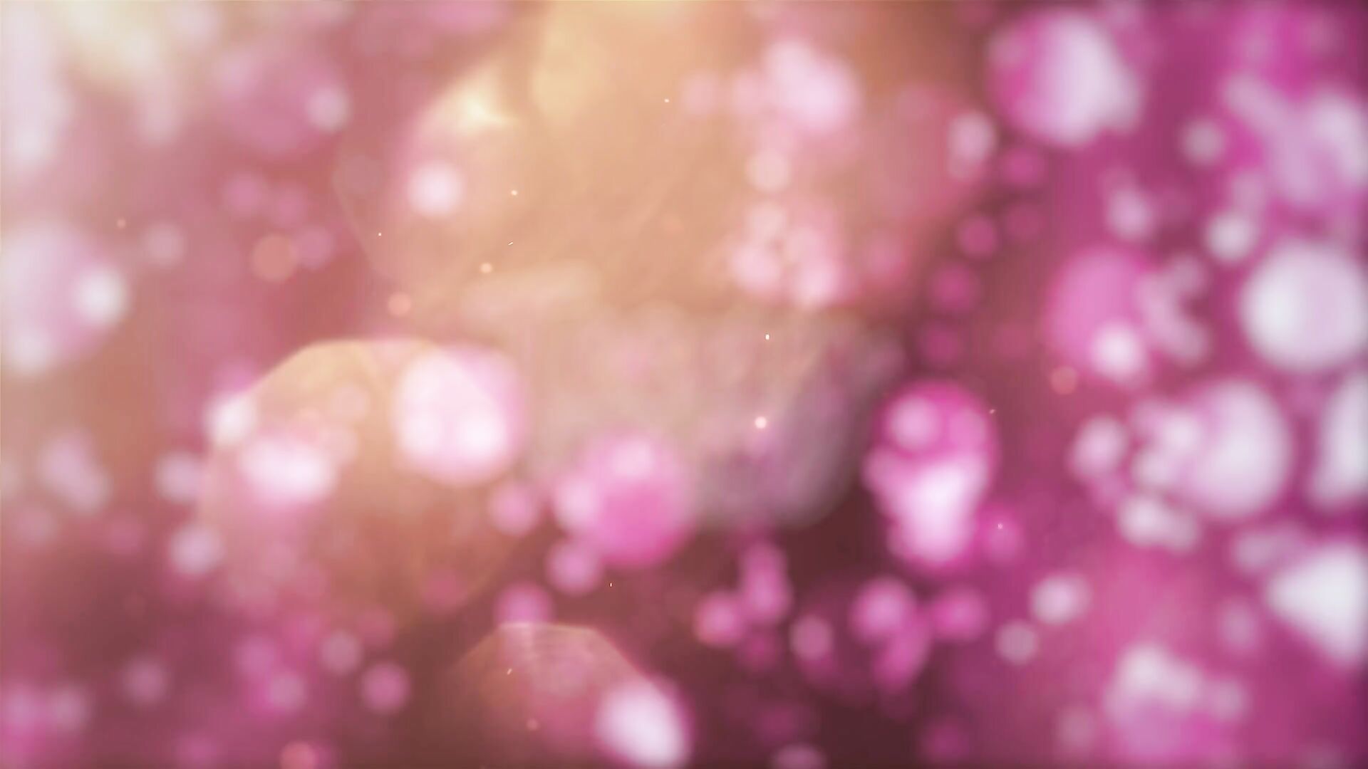 Hannah Quinn - Hannah Hookup - TeenyTaboo - TeenyTaboo - taboo - pussy - blonde - blowjob - big dick - deepthroat - teen