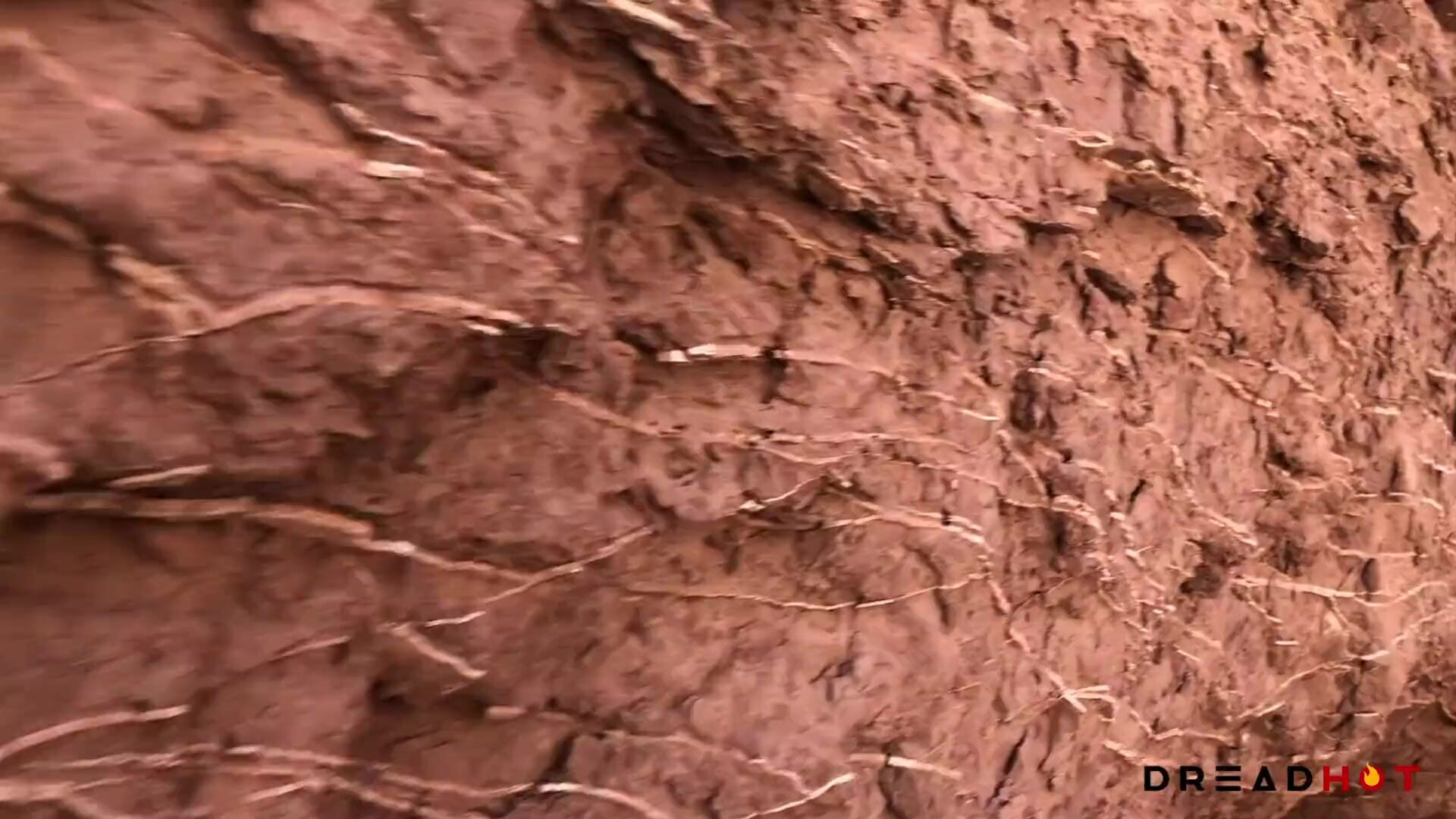 DH 22 Porn in the driest desert in the world Part 1 1080p - brunette - beautiful - blowjob