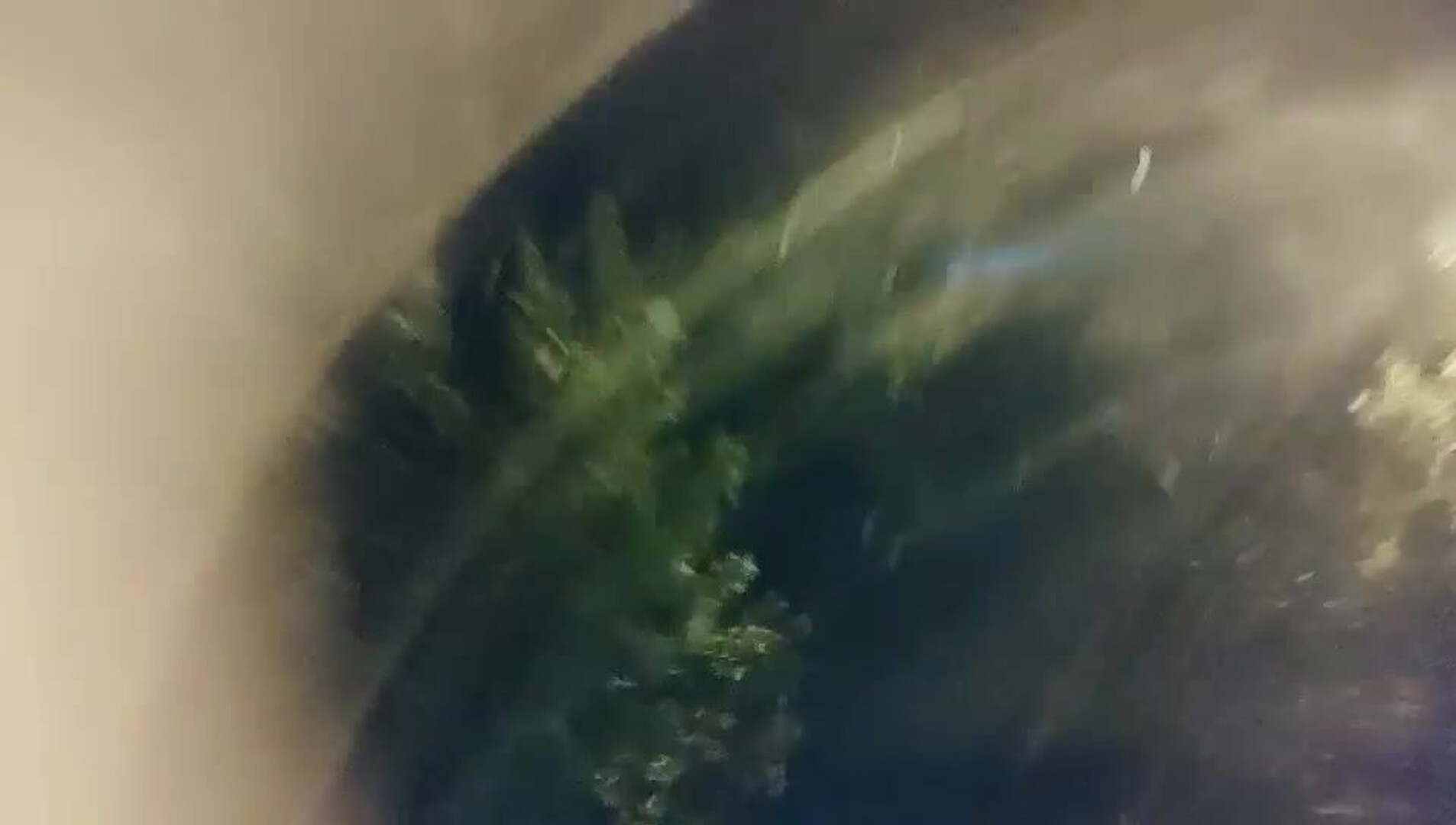 Homemade Selfies And Sneak Shots 收集整 001 91强子寻欢 啪啪 20210511 - asian - hardcore