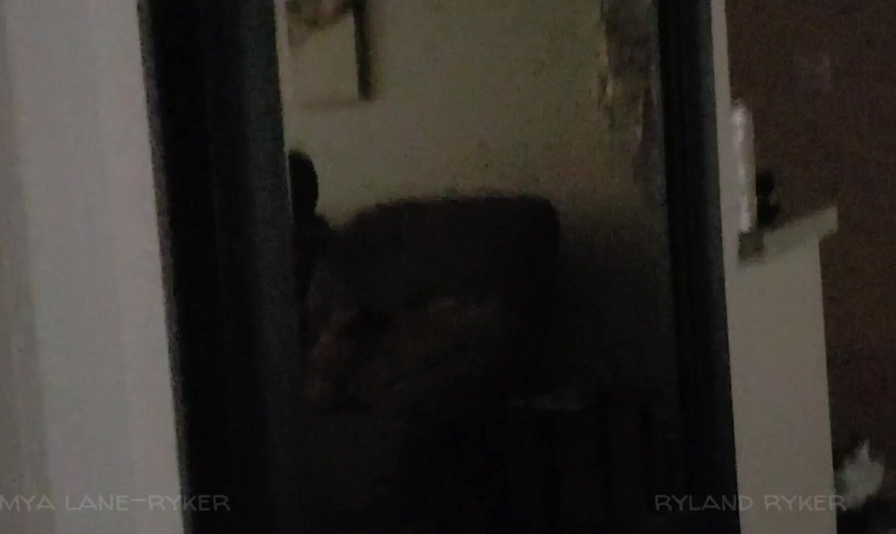Mya Lane Caught Cheating On The Couch - hardcore - handjob