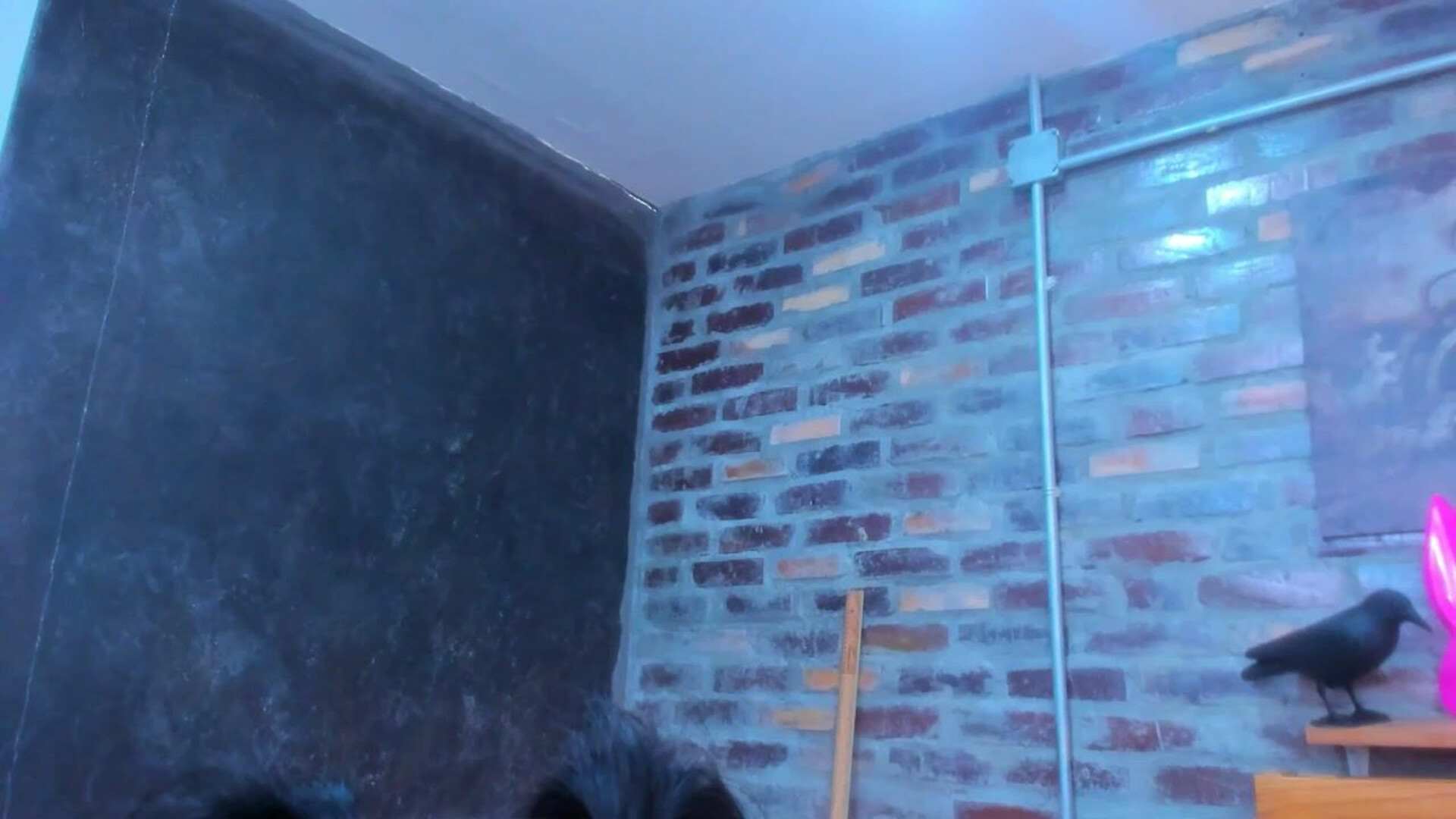 s31m25h51 21 40 6202 rialctsyrot - webcam