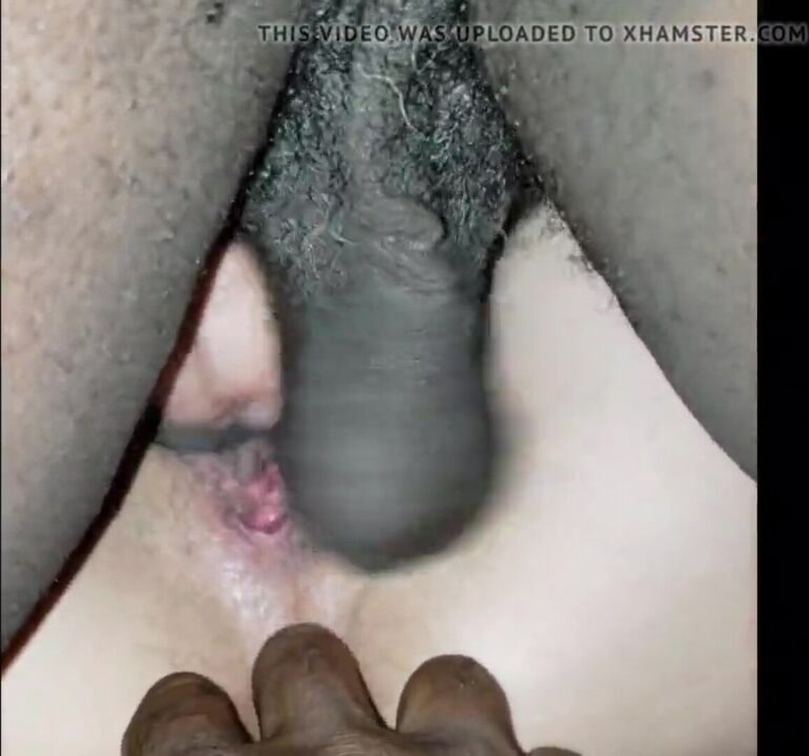 Black Cock Cuckold Variety For Slutwife Kirgina - cuckold - slut wife - milf - hardcore - interracial
