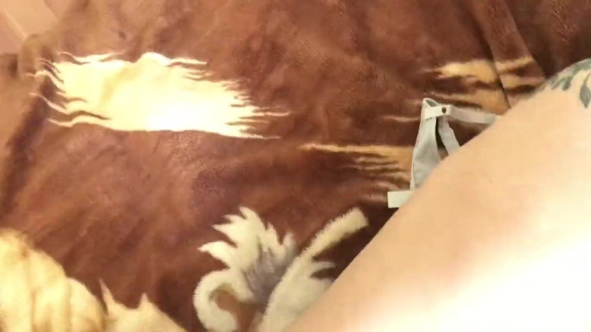 Leokleo Fuck Me Hard While I Watch Tik Tok Videos Pov - pov - hardcore - amateur