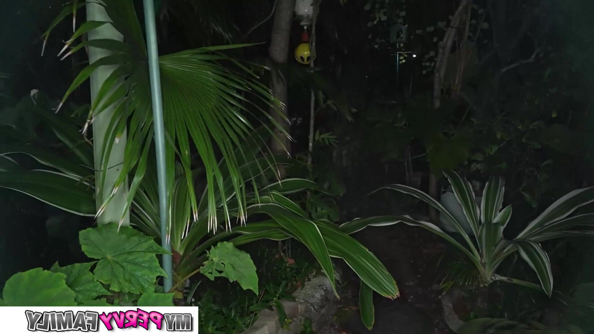 Spring jest day stepsister fake surprise - amateur - babe - blowjob - brunette - pov - outdoor - pussy - big cock - american - missionary