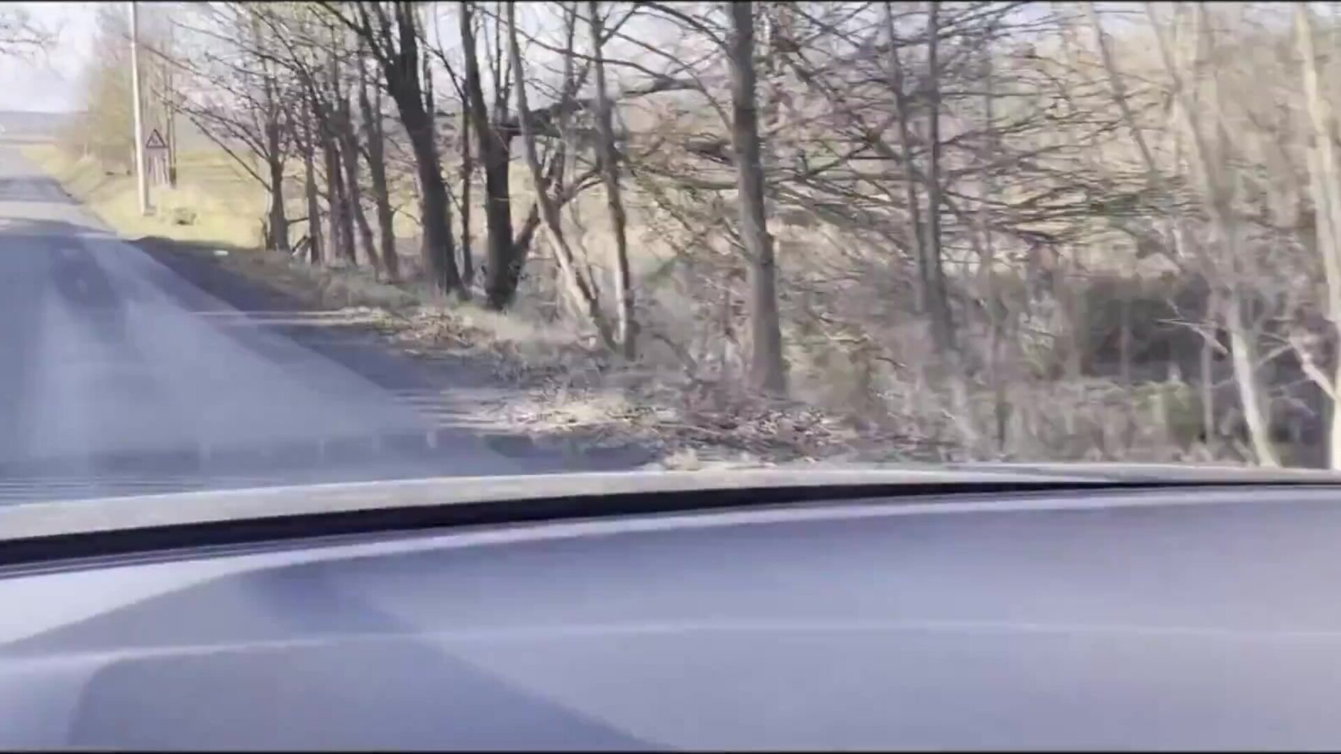 White Hottie Takes BBC in Car European Interracial - interacial - blowjob