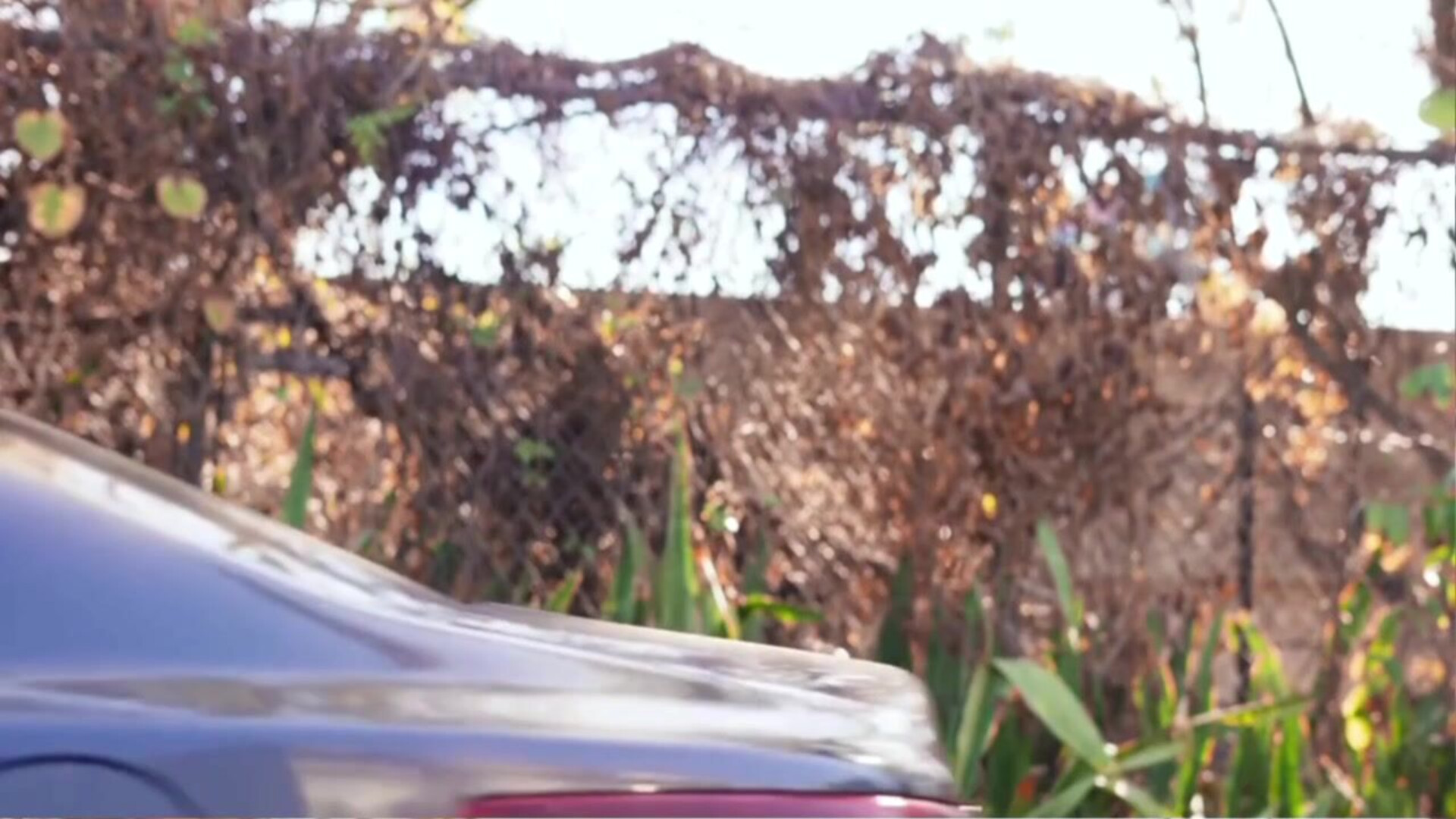 Drive Thru Her - big ass - big tits - blowjob - sex - fuck