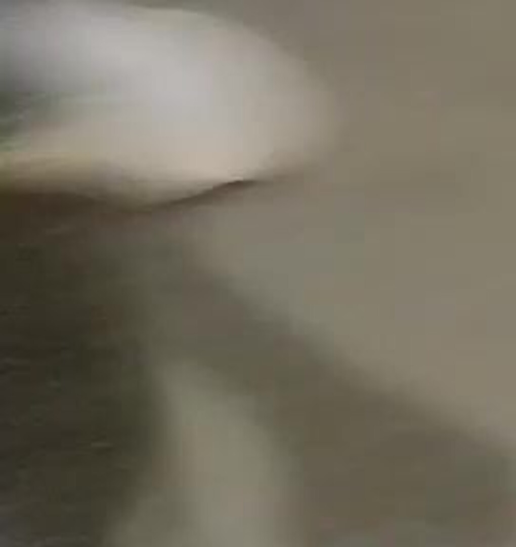 Homemade Selfies And Sneak Shots 收集整 007 城市猎人 第一场 20210506 - asian - hardcore