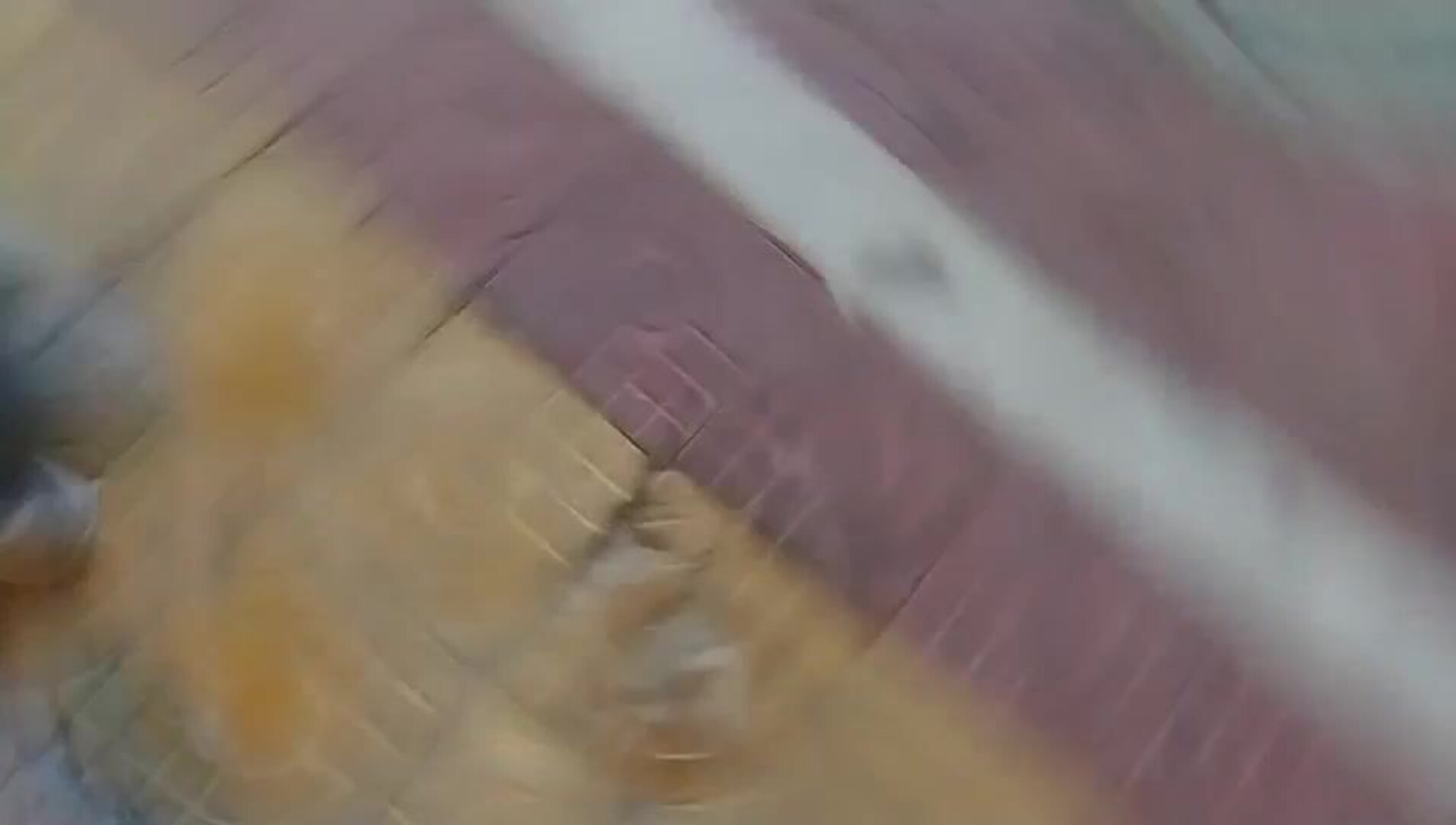 Homemade Selfies And Sneak Shots 收集整 007 城市猎人 第一场 20210506 - asian - hardcore