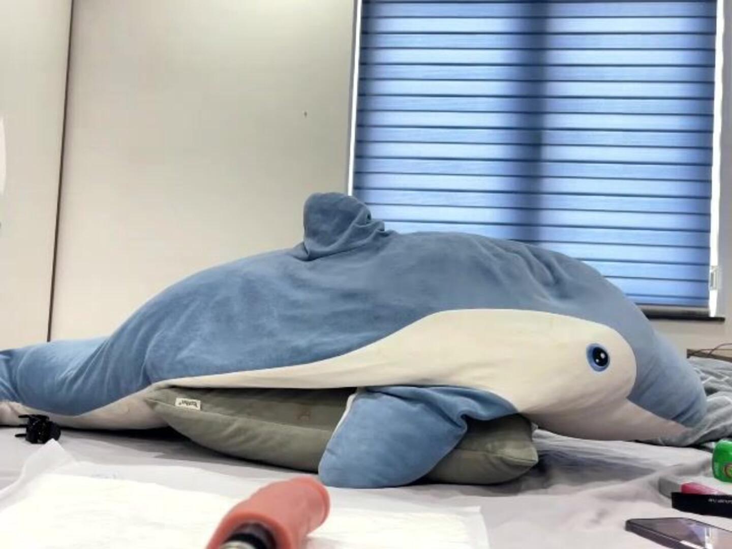 M Ely 2023 05 23 1 - asian - webcam - m-ely