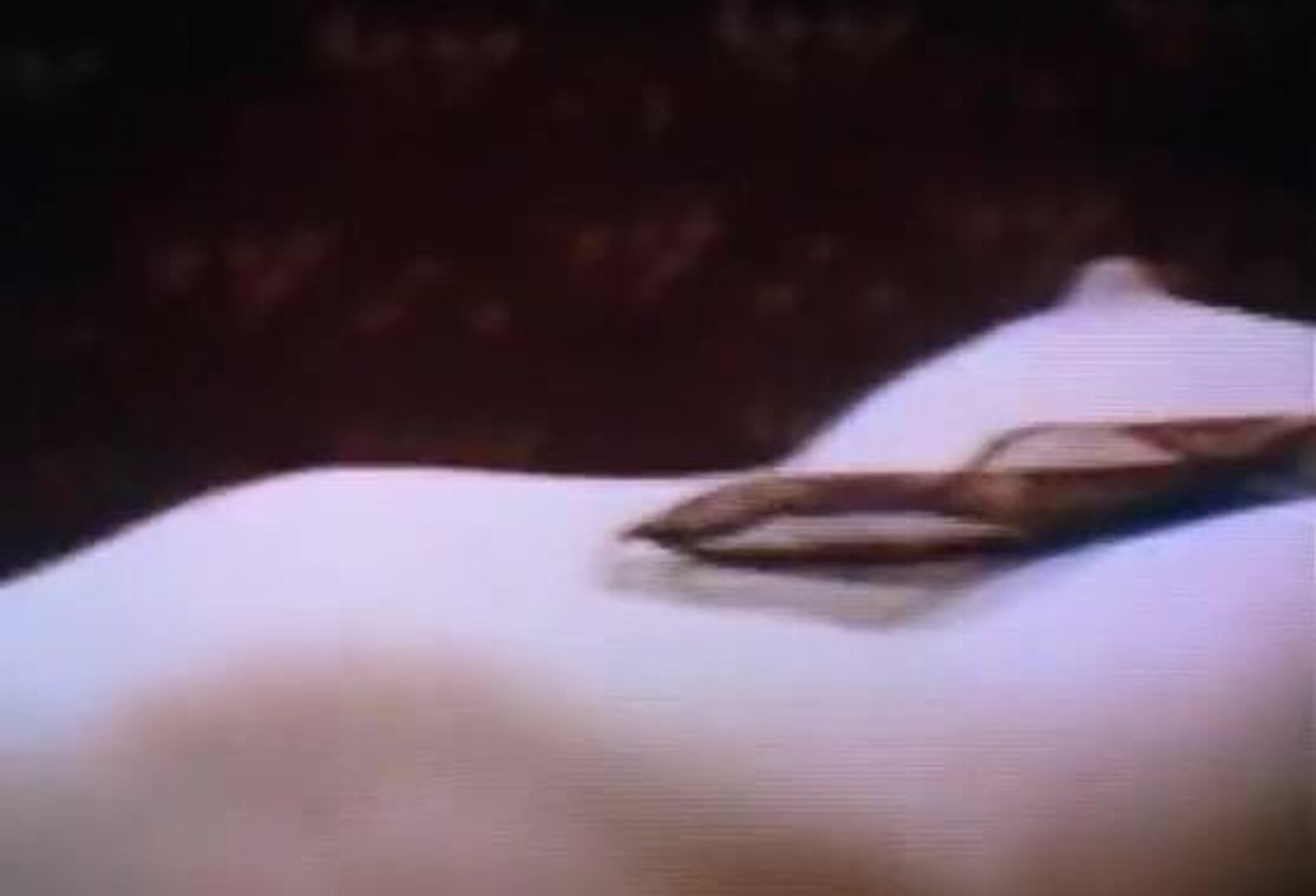 The Key to Sex (1999) - anal