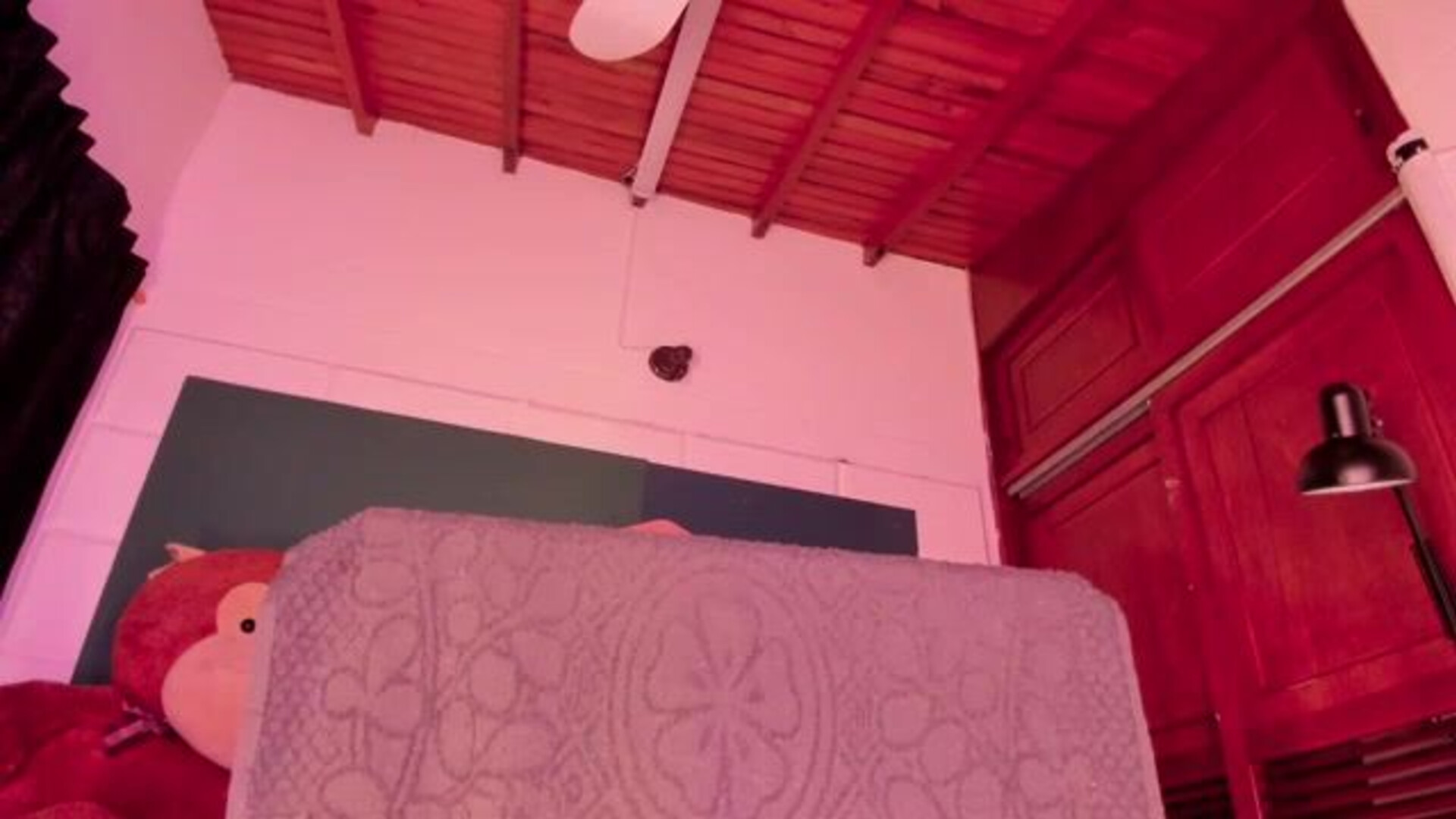 64byH4z3 2026 02 11 02 36 16 487 - webcam