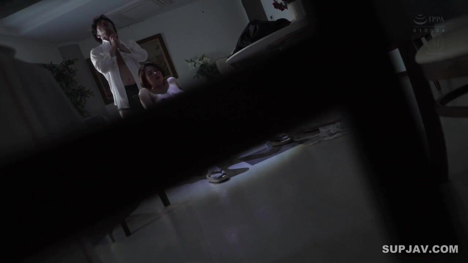 A Affair Of A Mother In Law With Son In Law In The Wedding Reception - japonese - asian - mature
