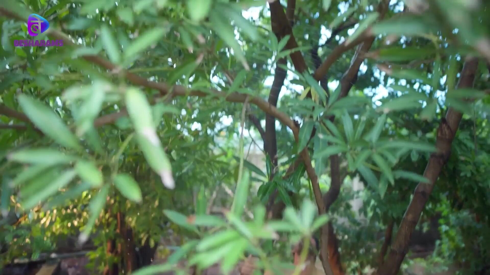 Akalmand Junglee S01E04 - ass