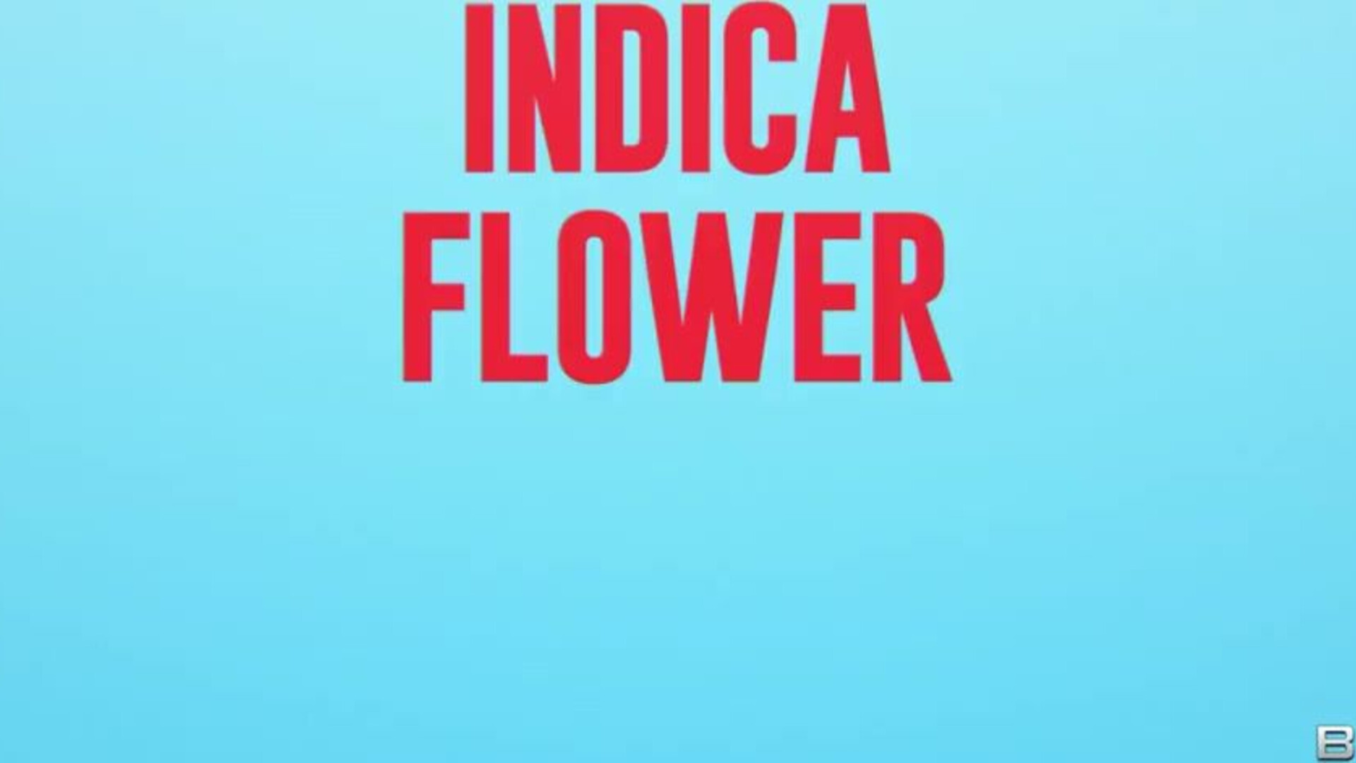 BrazzersExxtra Indica Flower Lucy Foxx Diner Vaginer - big_tits