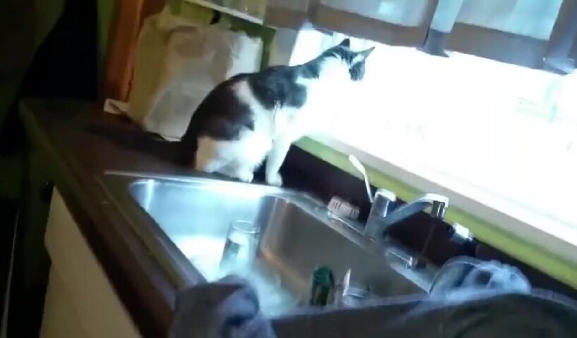 Cumslut suckslut crack head cocksucking - crack head - cocksucking
