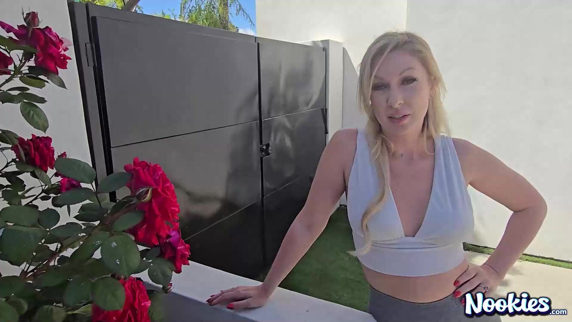 Nookies Hot Housewife Sydney Paige - hardcore - outdoors - milf - pov - cumshot - blowjob - stepmom - nookies