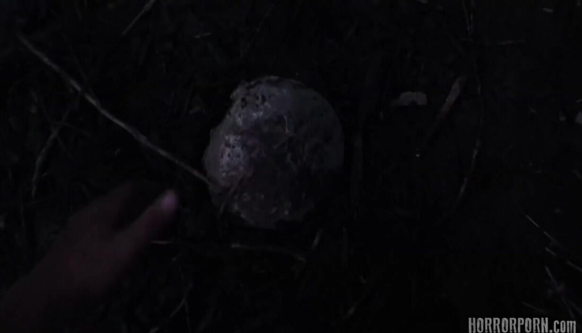 What really happened to Arnie in the Jungle - fetish