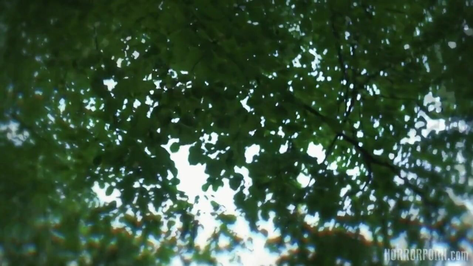 What really happened to Arnie in the Jungle - fetish