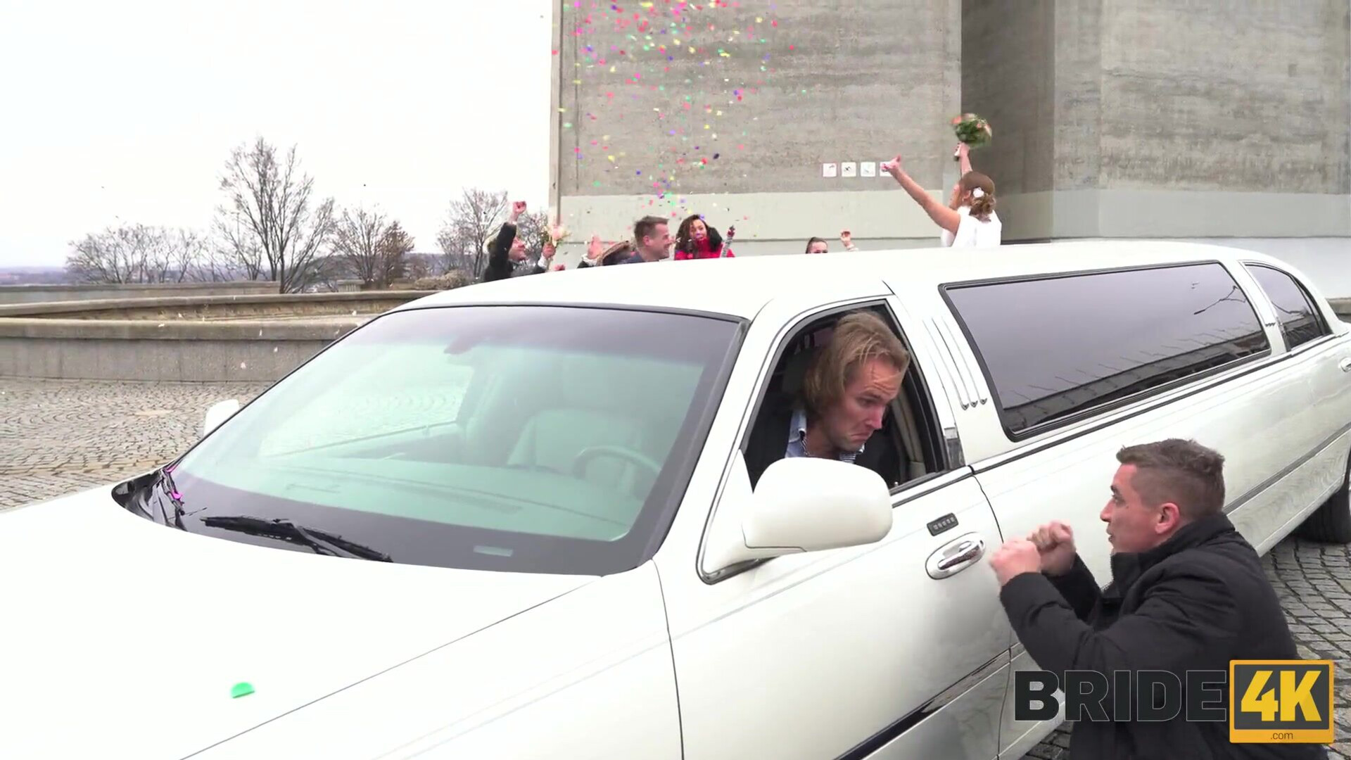 alexis crystal the wedding limo chase - teen