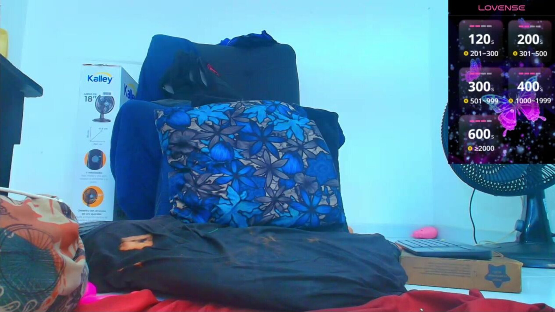 carla prestige 2026 01 14 14h07m58s - webcam
