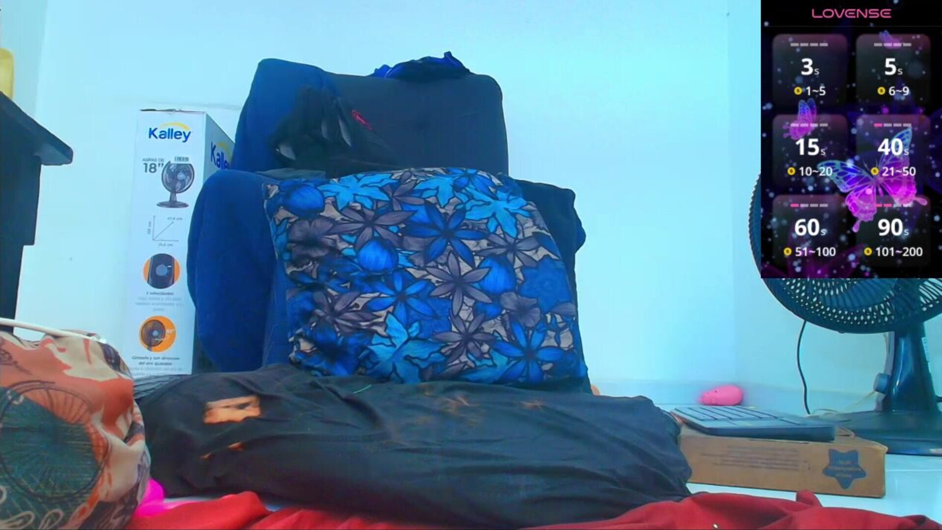 carla prestige 2026 01 14 14h07m58s - webcam