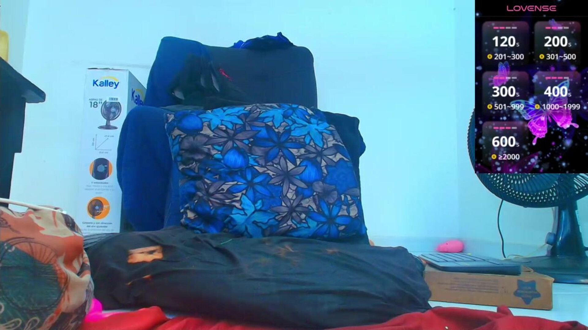 carla prestige 2026 01 14 14h07m58s - webcam