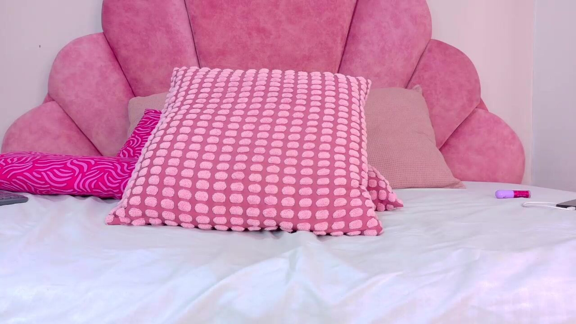 samanthasky 2026 01 13 22h41m49s - webcam