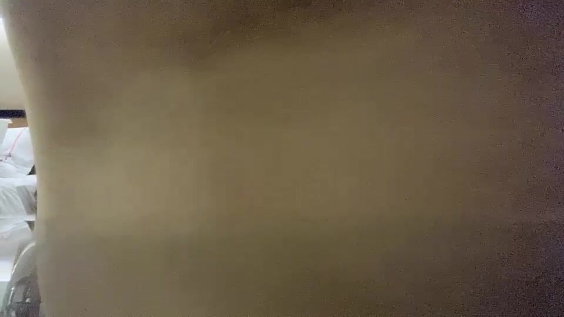 Homemade Selfies And Sneak Shots 收集整 025 专业操老外 啪啪极品 20210521 - asian - hardcore