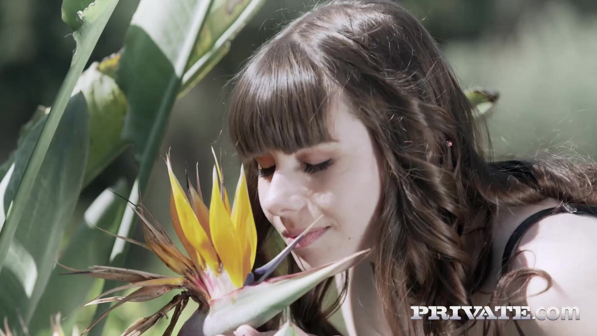 Luna Rival Anal Innocence - hot
