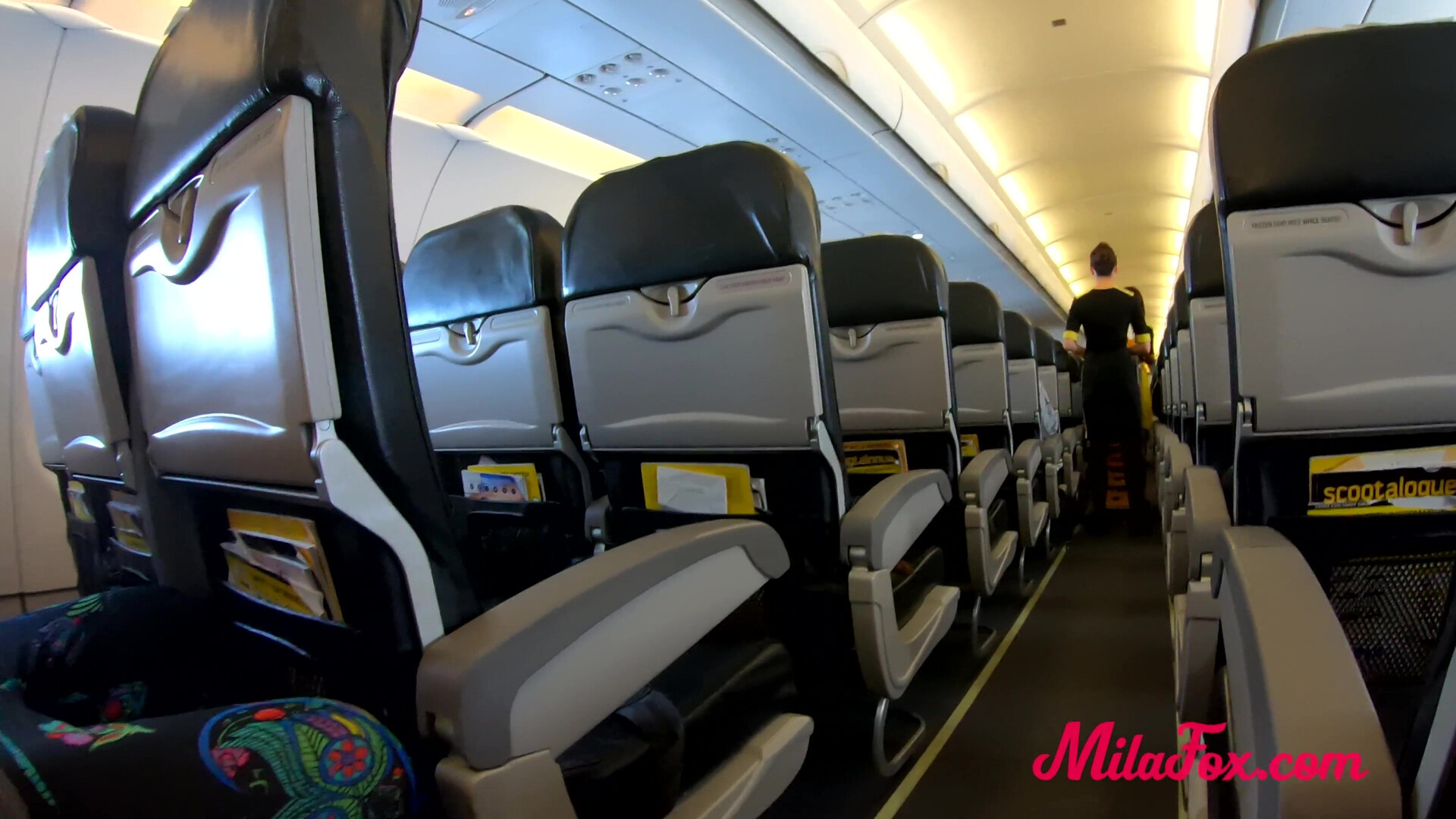 Mila Fox Sex On The Plane With The Passenger - homemade - amateur - blowjob