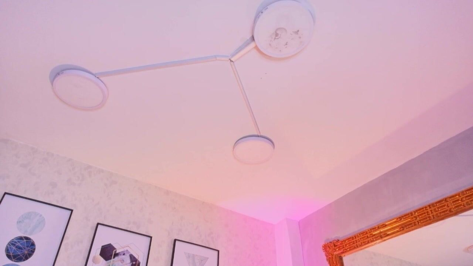 meilynduque 2026 01 13 20h17m28s - webcam