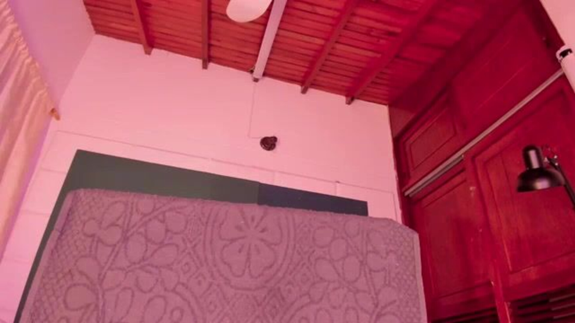 64byH4z3 2026 02 06 03 54 34 083 - webcam