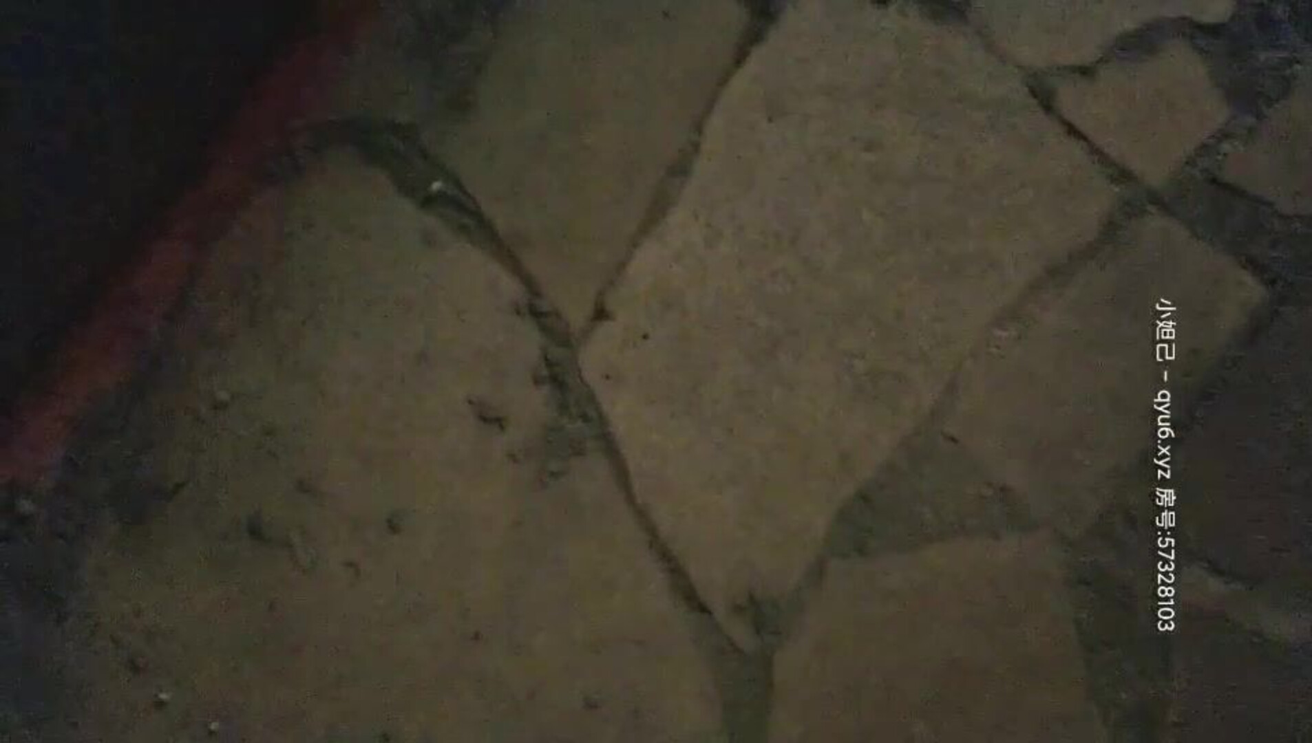Homemade Selfies And Sneak Shots 收集整 004 城市猎人 啪啪 20210502 - asian - hardcore