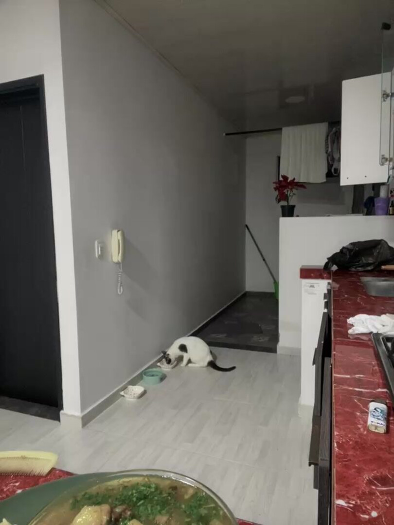 Natural BIGASS NinaSC 2025 11 30 18 29 - webcam