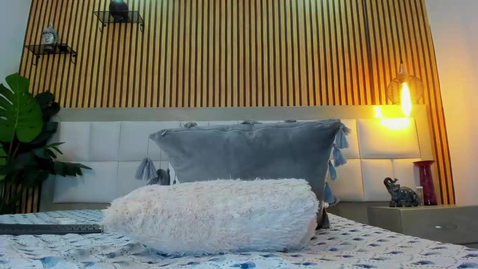 ṙ̇ō̄s̆̆ē̄á́ù̀ṙ̇ō̄ṙ̇á́ 2025 11 19 08ḣ̇18m̂̂42s̆̆ - webcam