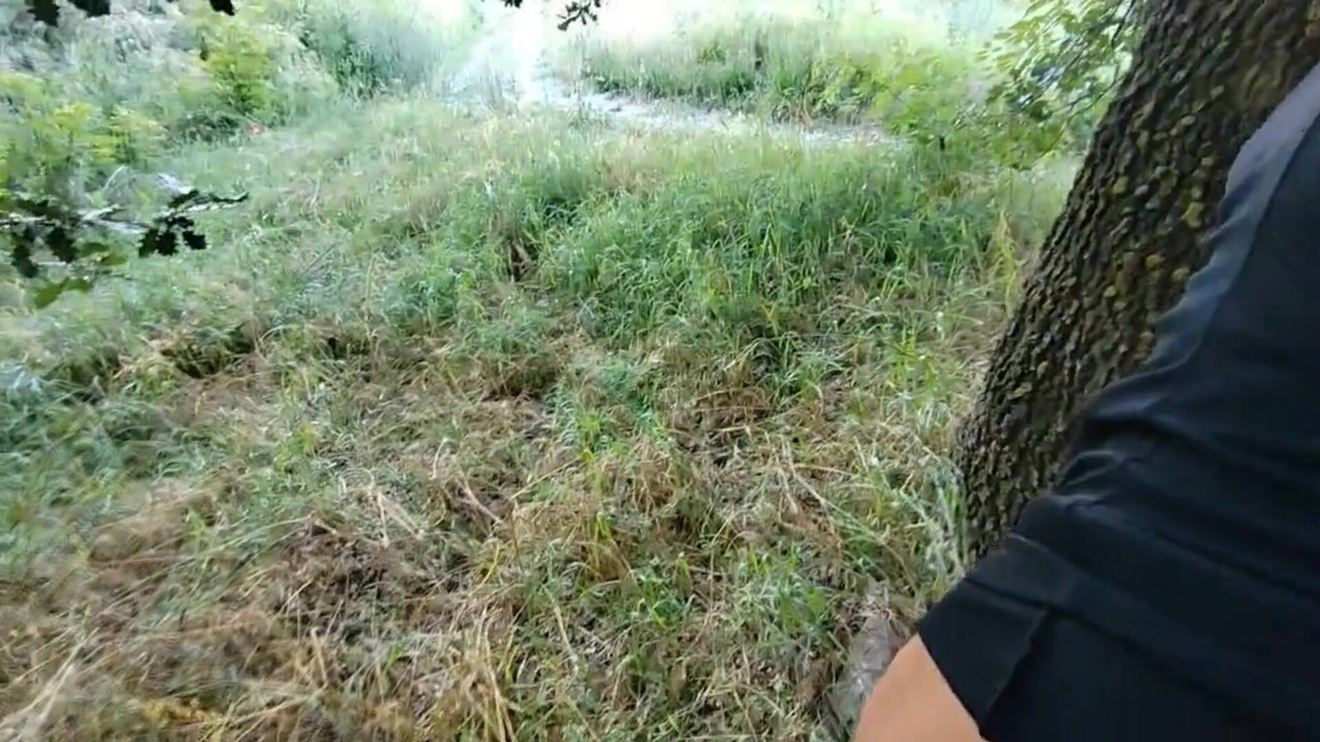 A lovely young woman becomes separated from her path within the forest, accompanied b - amateur - blowjob - pov - italian - outdoor - orgasm - doggy style - pussy - big cock - homemade