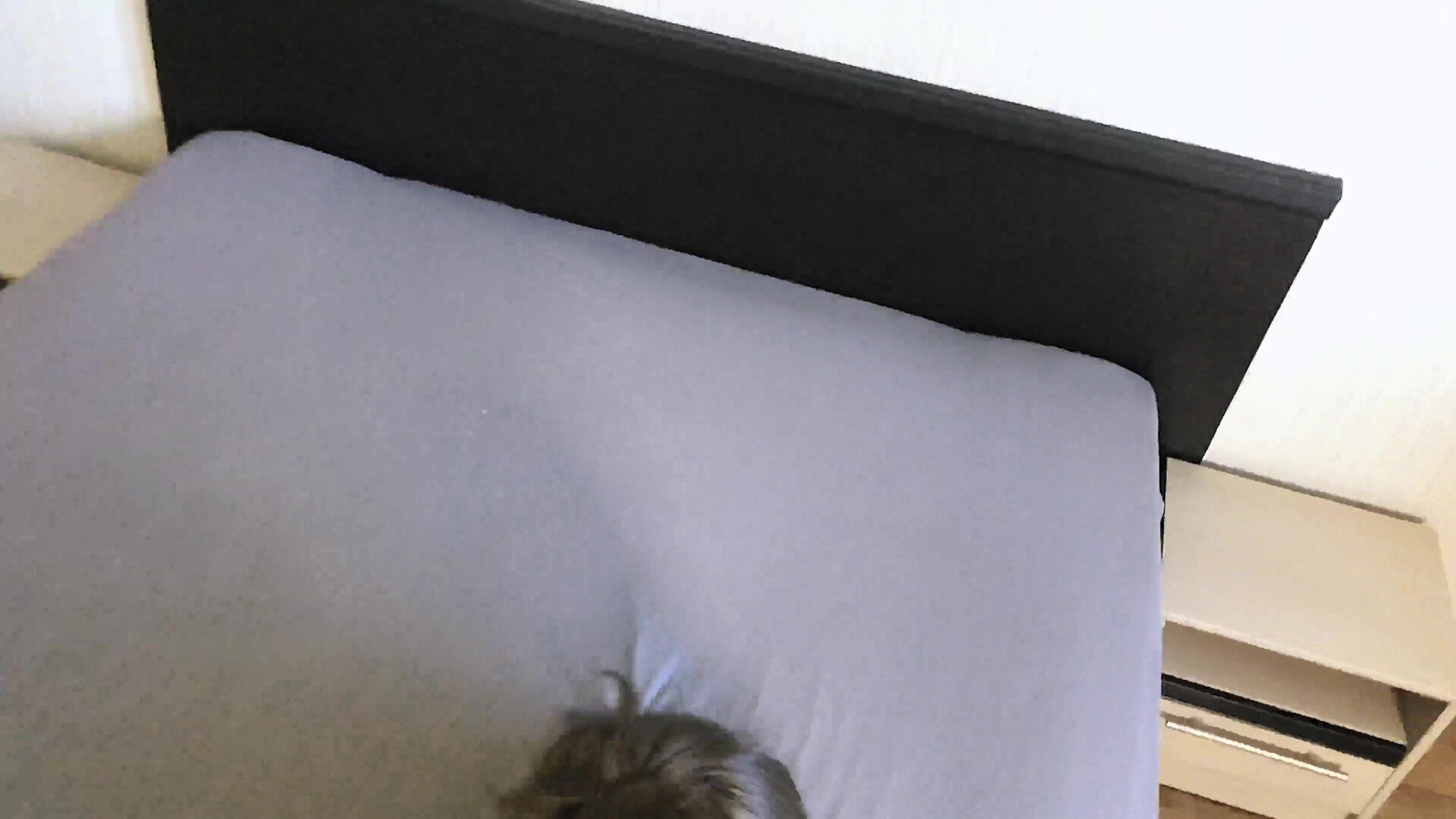 Sasha Honey Fucked Beauty In Her Mouth And Pussy After Cum On Her Ass - amateur - blowjob - hardcore