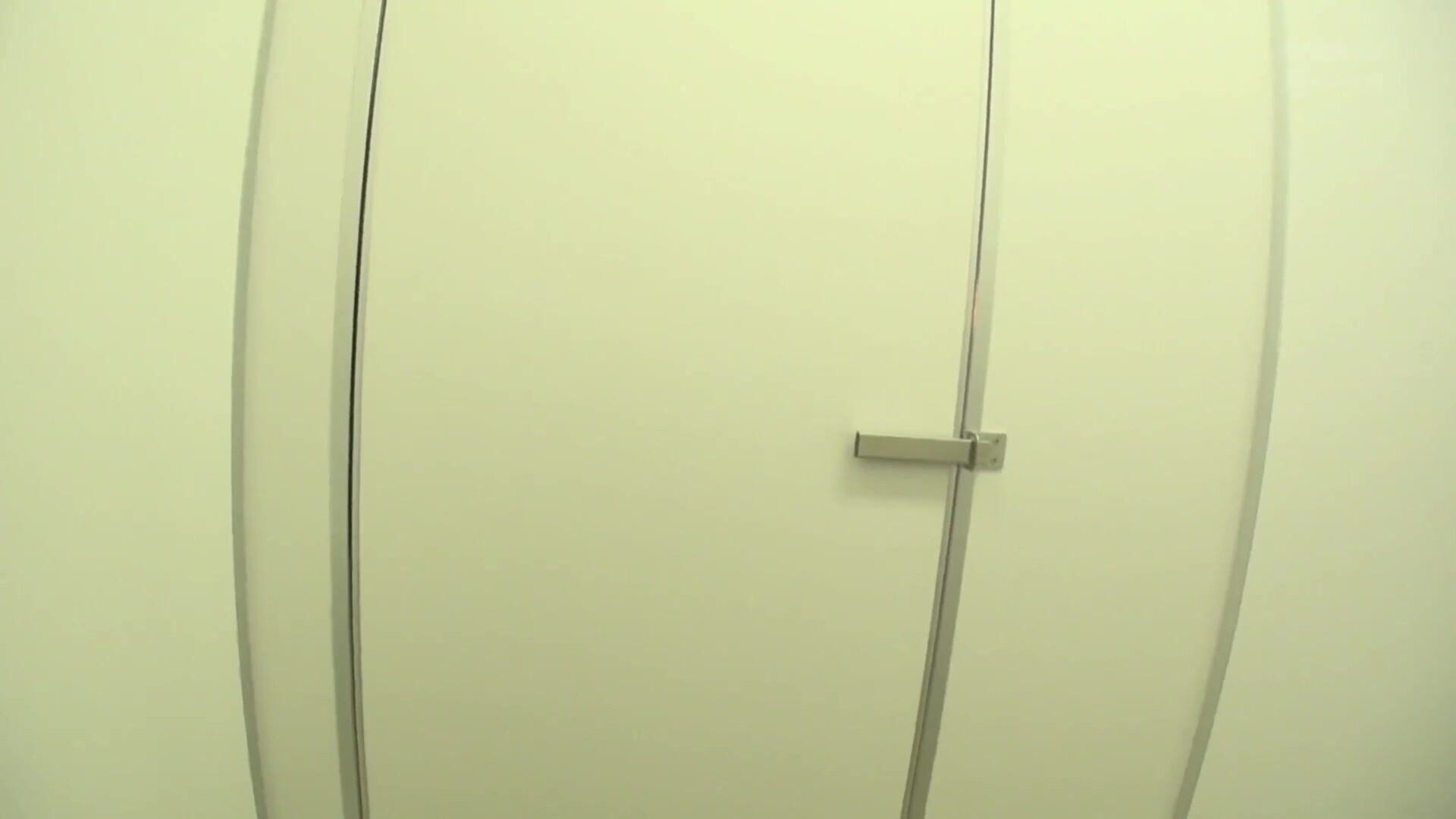 WANZ 463 I Accidentally Got On The Women Only Carriage - jav