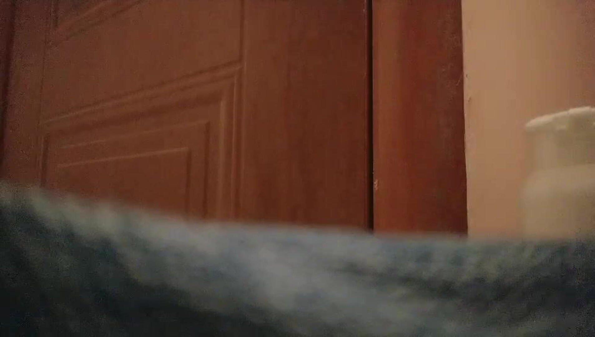 Homemade Selfies And Sneak Shots 收集整 011 表哥扶贫探花会所 第一场 20210514 - asian - hardcore
