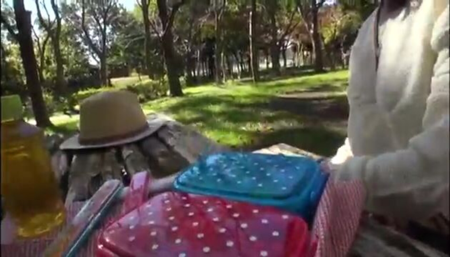 IANN 25 in 360p - milf - japanese - asian