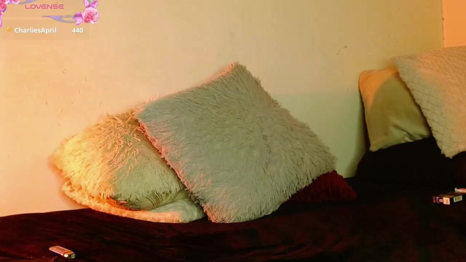dulce tara 2026 01 08 19h52m39s - webcam