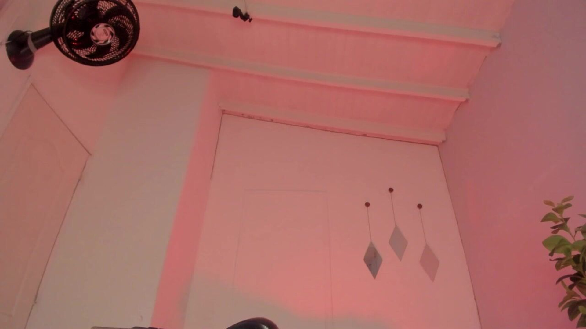 sweetbbw18 2025 11 20 12h10m15s - webcam