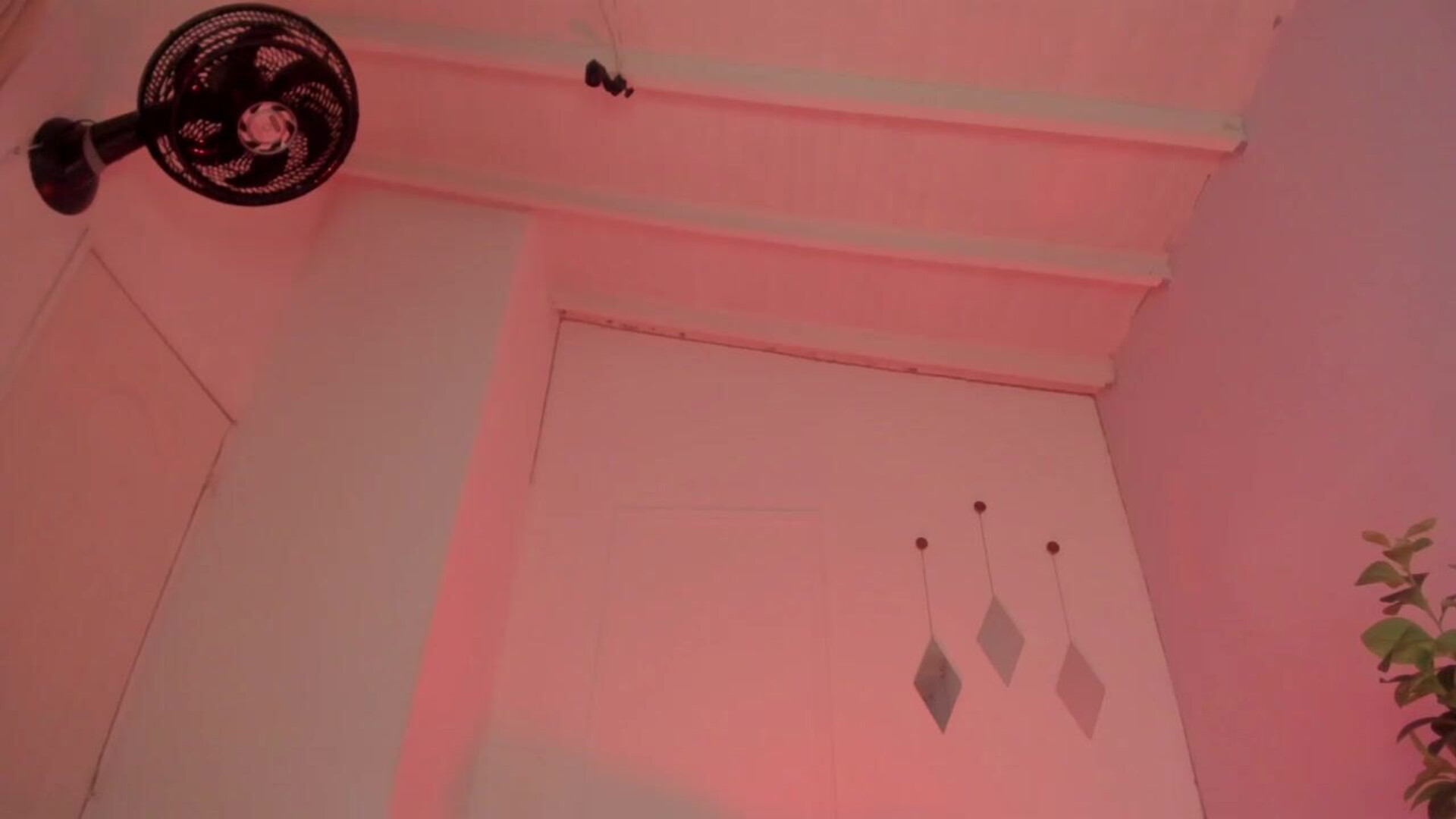 sweetbbw18 2025 11 20 12h10m15s - webcam