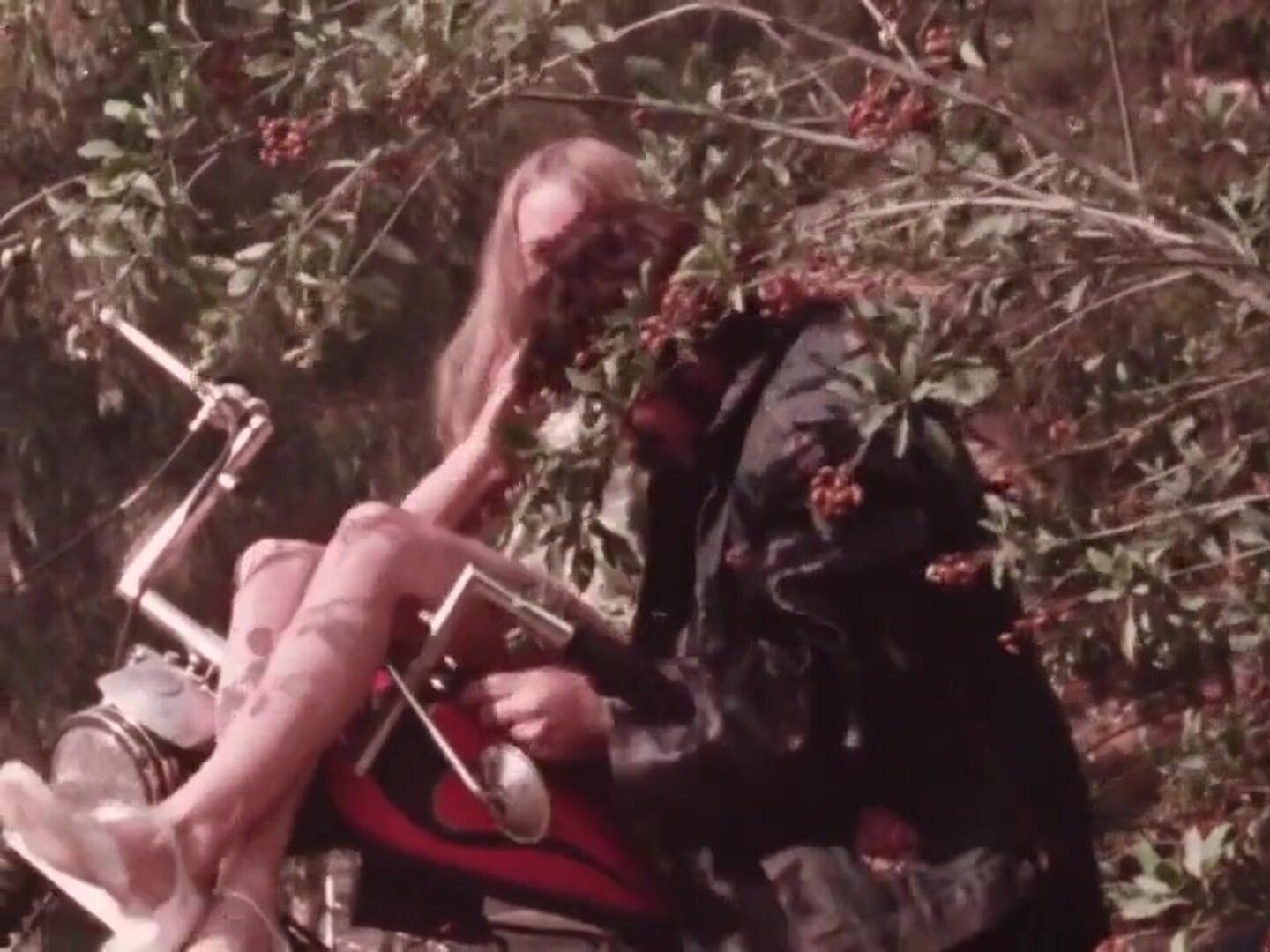 Harlot (1971) - vintage - classic - retro - 1970s - 1971