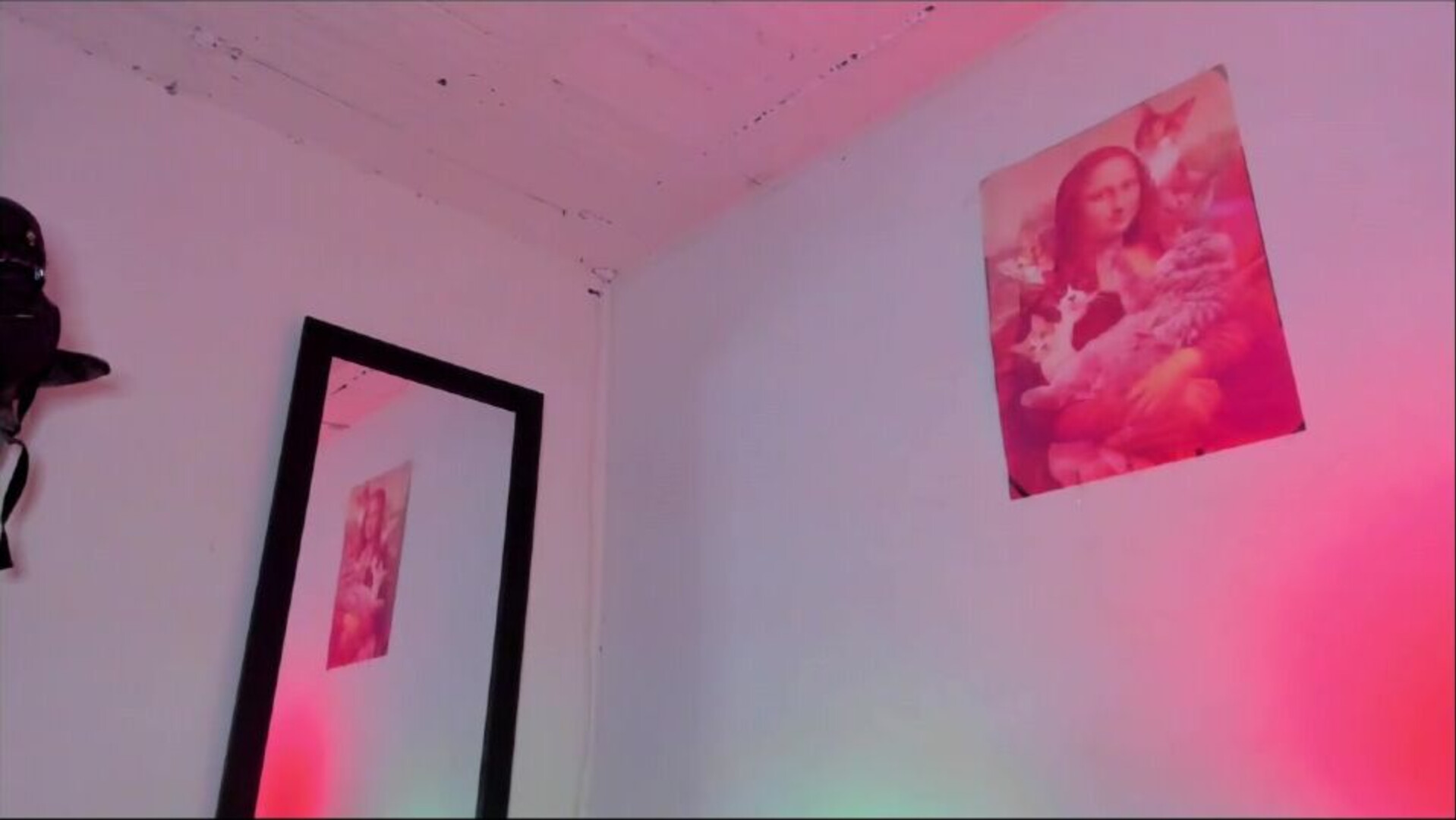 sammy greyy1 2025 11 26 06h03m11s - webcam