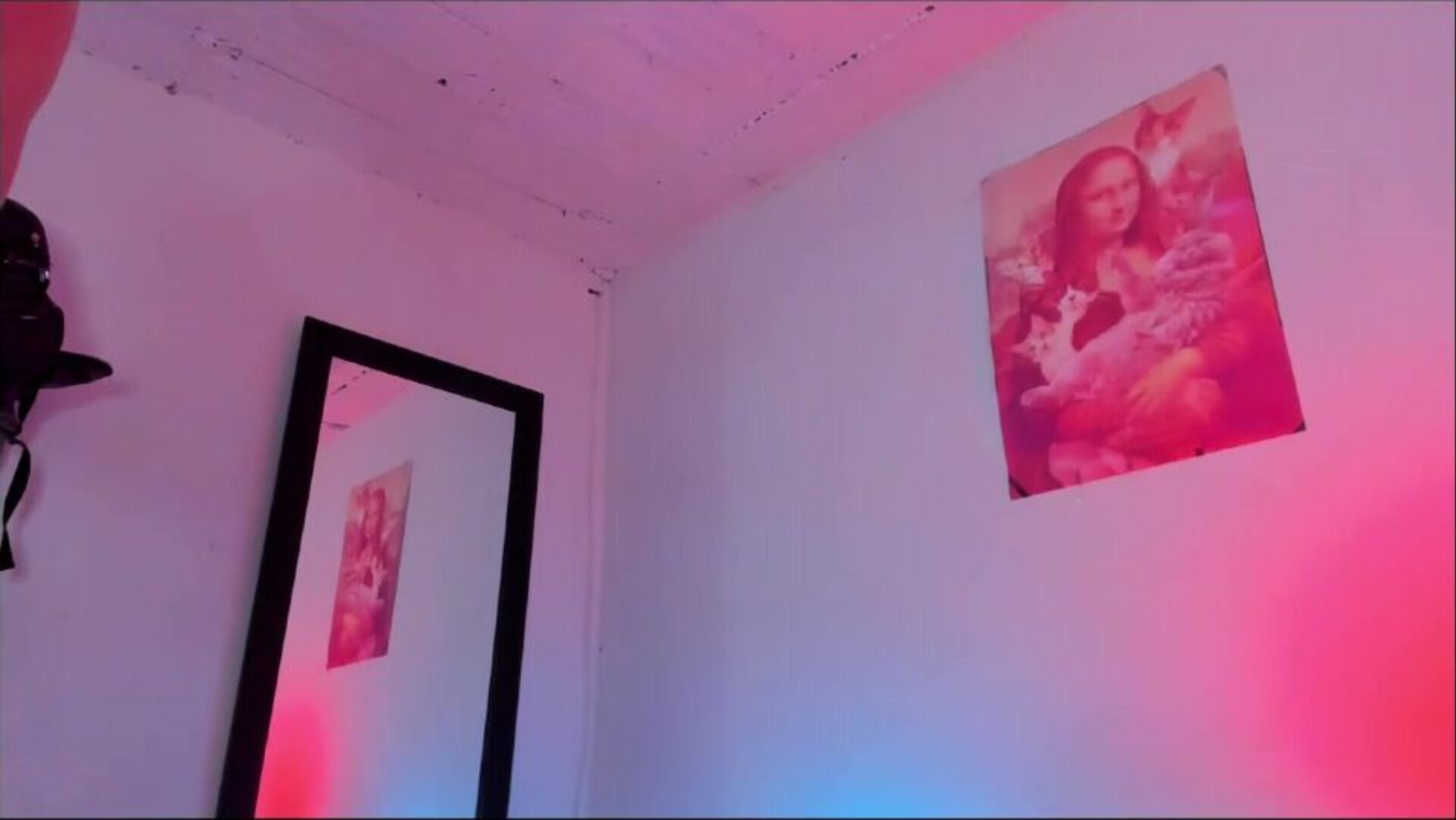 sammy greyy1 2025 11 26 06h03m11s - webcam