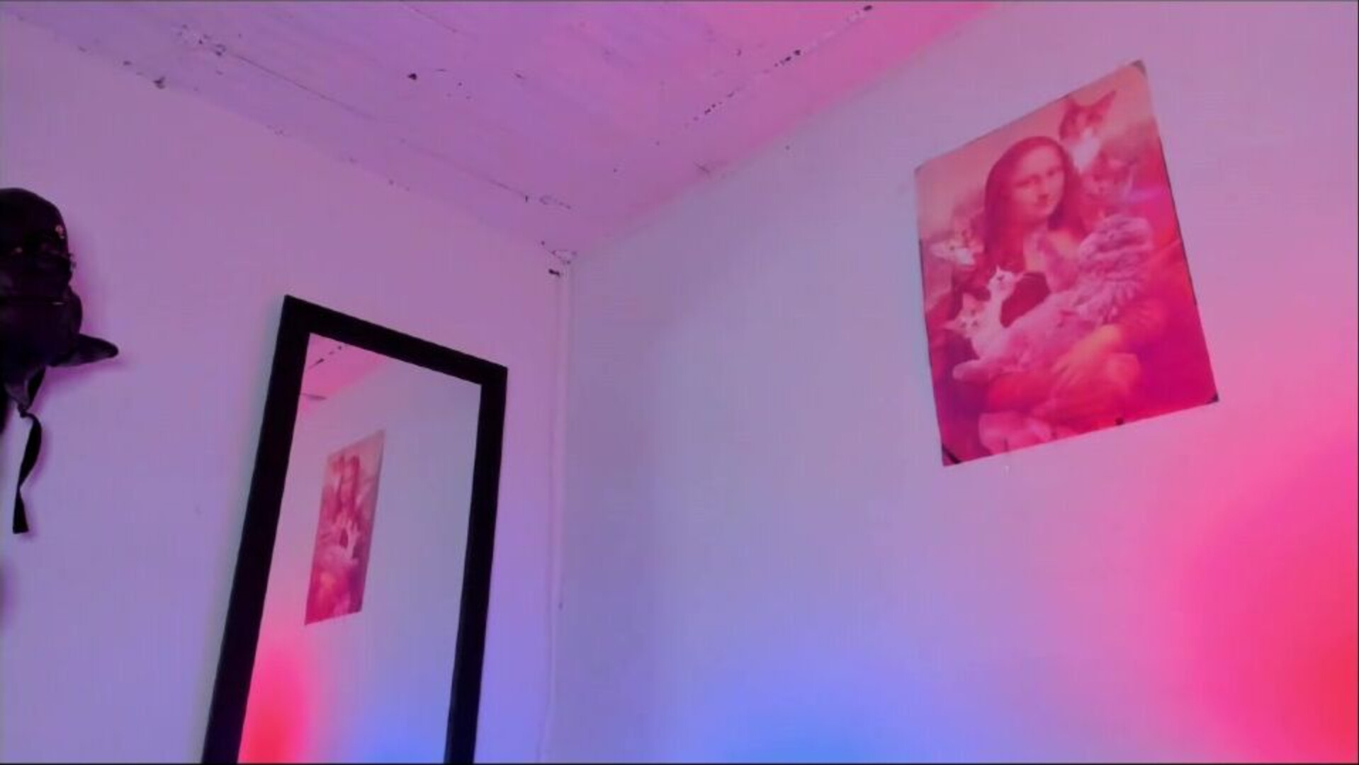 sammy greyy1 2025 11 26 06h03m11s - webcam
