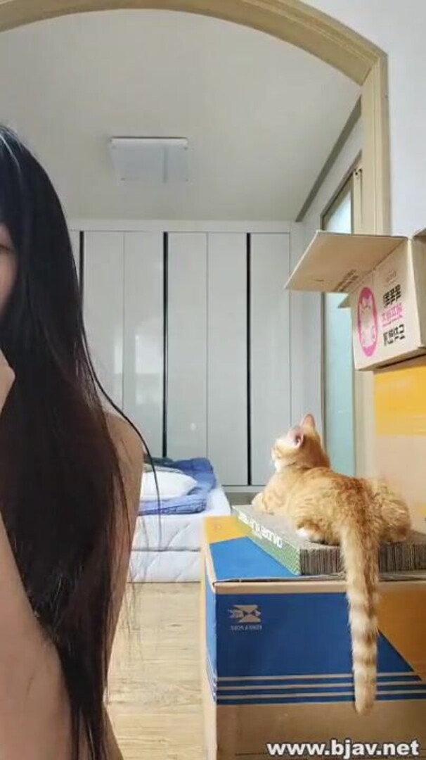 BJ햄이 - asian - webcam